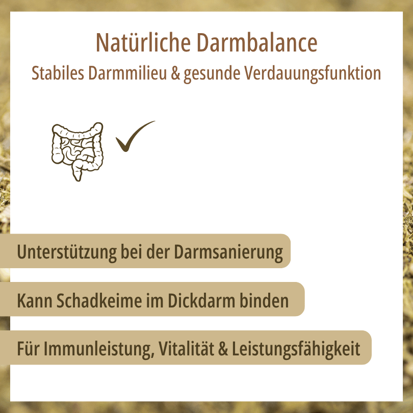 Grafik zu HBD Vital® DigestoVit®: Unterstützung zur Darmsanierung, kann Schadkeime im Dickdarm binden, für Immunleistung, Vitalität und Leistungsfähigkeit