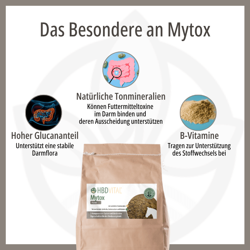 HBD Vital® Mytox Pulver für Pferde: 2-Komponenten-System mit bindenden Eigenschaften für den Verdauungstrakt, frei von Getreide, Synthetika, Zuckerzusätzen und Kräutern.