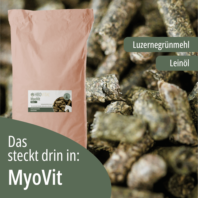 HBD Vital® MyoVit Verpackung mit den Zutaten Luzernegrünmehl und Leinöl