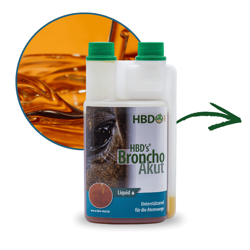 Flasche mit BronchoAkut dem Liquid und einem Pfeil