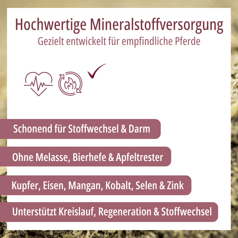 Grafik zu HBD Vital® HorseMineral MBAfrei: schonend für Stoffwechsel und Darm, ohne Melasse, Bierhefe und Apfeltrester, mit Kupfer, Eisen, Mangan, Kobalt, Selen und Zink zur Unterstützung von Kreislauf, Regeneration und Stoffwechsel