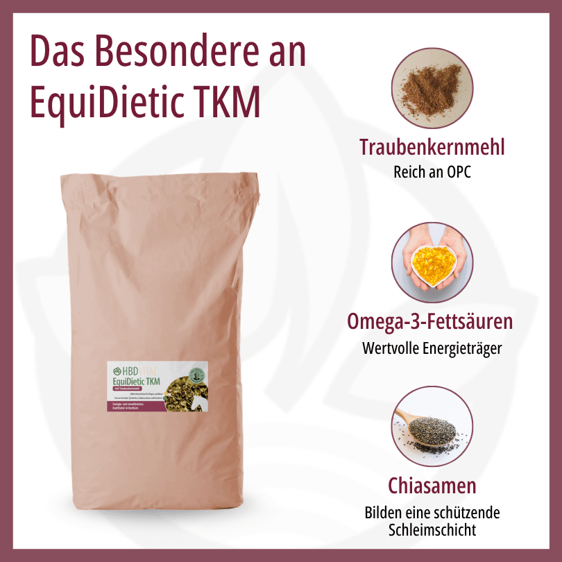 Infografik zu HBD Vital® EquiDietic TKM: Traubenkernmehl reich an OPC, Omega-3-Fettsäuren als Eiweiß- und Energieträger sowie Chiasamen, die eine schützende Schleimschicht bilden