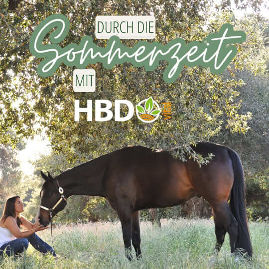 Eine Frau sitzt auf einer Wiese vor einem Baum, ihr Pferd steht mit dabei. Der Text "Durch die Sommerzeit mit HBD" steht oben drüber.