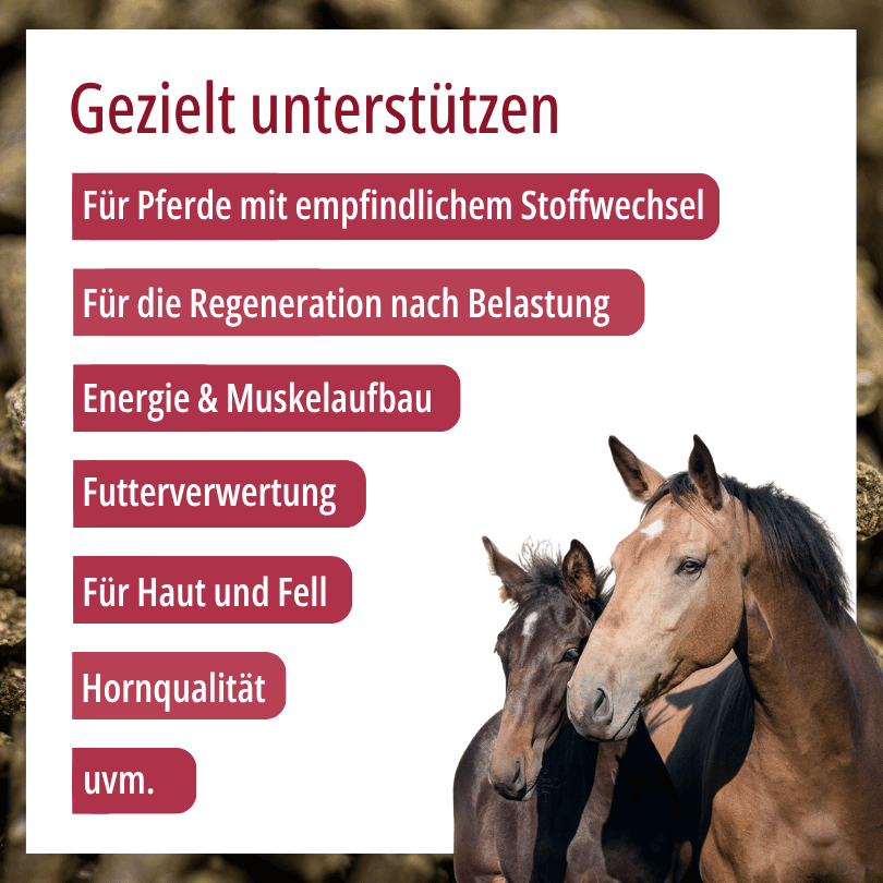 Zwei Pferde zu HBD Vital® HorseMineral: Einsatzbereiche u. a. bei empfindlichem Stoffwechsel, für die Regeneration nach Belastung sowie für Haut, Fell und Hornqualität