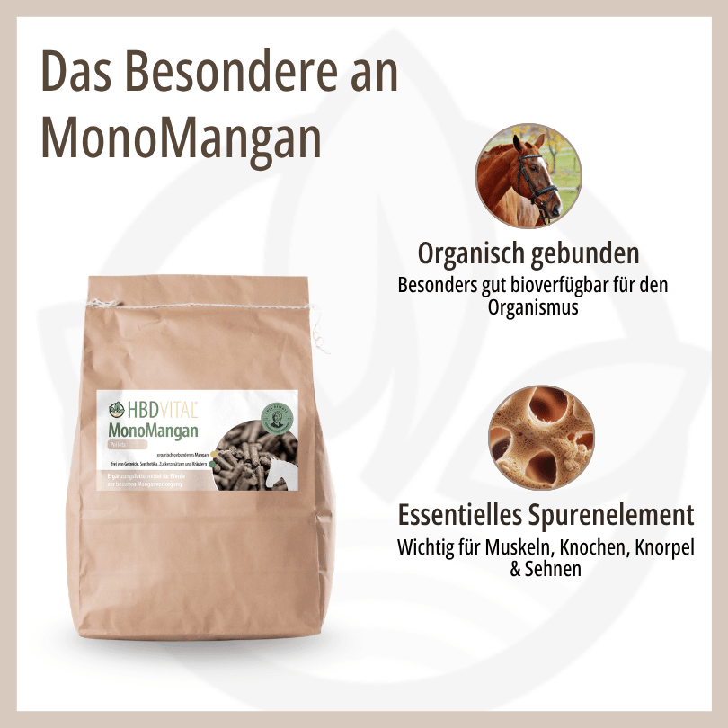 Infografik zu HBD Vital® MonoMangan mit Produktverpackung