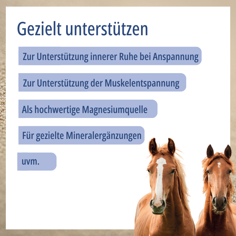 Zwei Pferde zu HBD Vital® MagnoFum: zur Unterstützung innerer Ruhe bei Anspannung, zur Unterstützung der Muskelentspannung sowie als hochwertige Magnesiumquelle