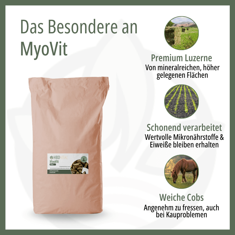 Infografik zu HBD Vital® MyoVit: Premium-Luzerne von mineralreichen, höher gelegenen Flächen, schonend verarbeitet für erhaltene Mikronährstoffe und Eiweiße sowie weiche Cobs auch bei Kauproblemen