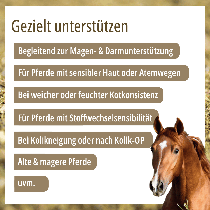 Pferd zu HBD Vital® DigestoVit® Forte: Einsatzbereiche u. a. bei sensibler Haut, Stoffwechsel-Sensibilität sowie für alte und magere Pferde