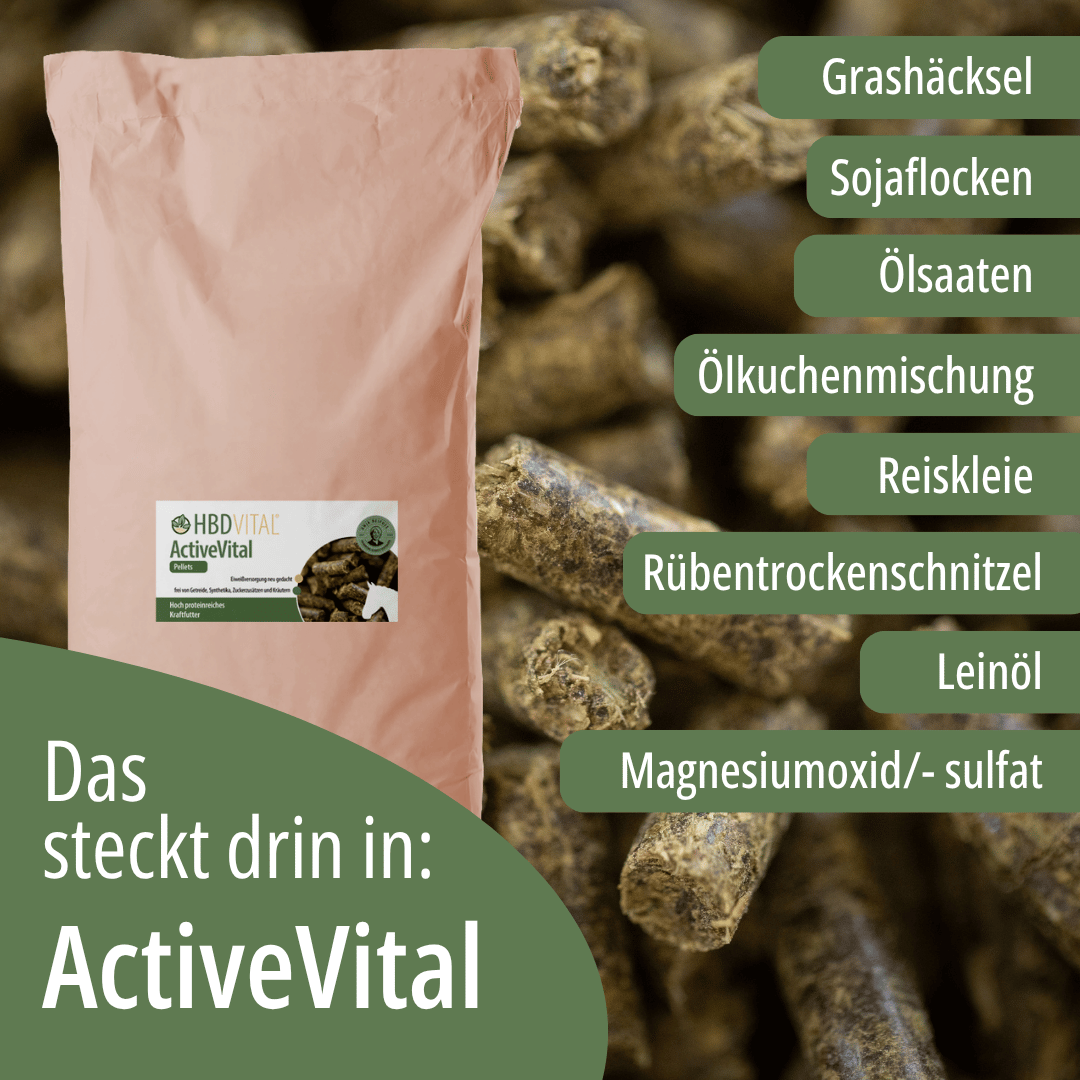 HBD Vital® ActiveVital mit Grashäcksel, Sojaflocken, Ölsaaten, Ölkuchenmischung, Reiskleie, Rübentrockenschnitzel, Leinöl und Magnesiumoxid/-sulfat.