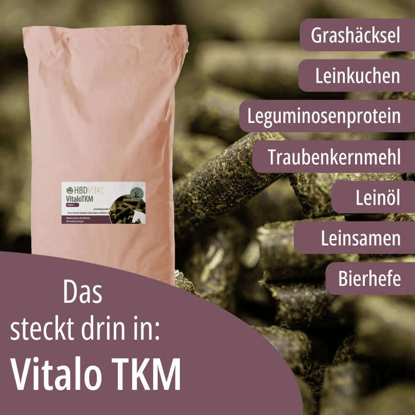 HBD Vital® Vitalo TKM mit Grashäcksel, Leinkuchen, Leguminosenprotein, Traubenkernmehl, Leinöl, Leinsamen und Bierhefe.