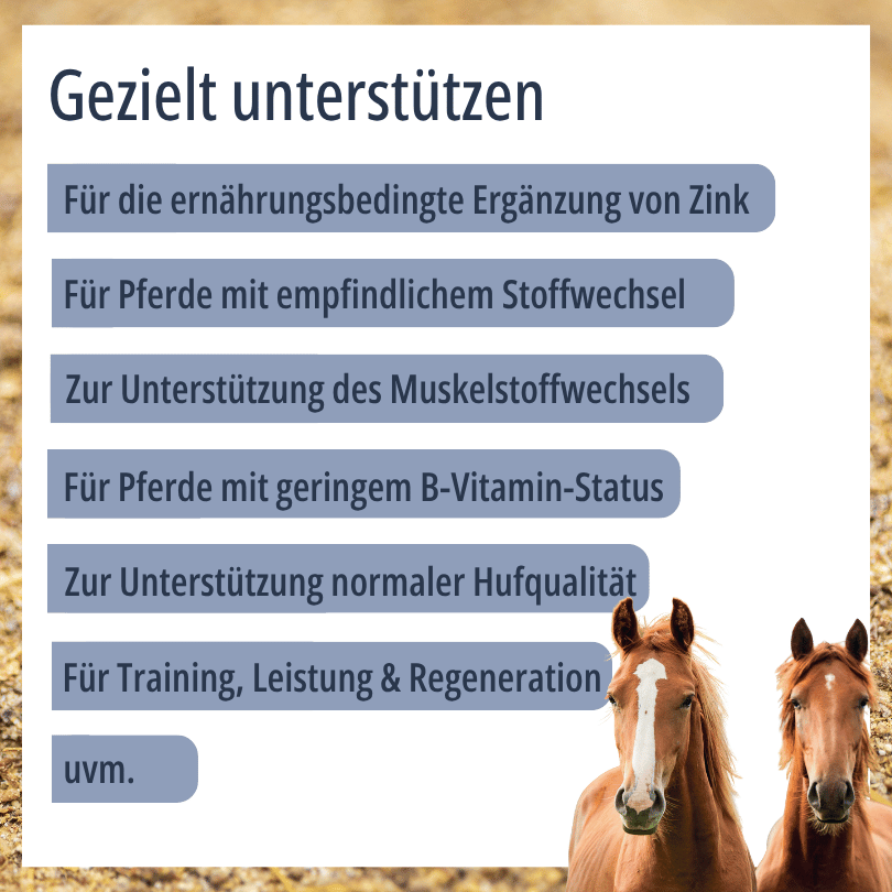 Zwei Pferde zu HBD Vital® HeparMin®: Einsatzbereiche u. a. zur Ergänzung von Zink, für Pferde mit empfindlichem Stoffwechsel sowie zur Unterstützung von Muskelstoffwechsel und Hufqualität