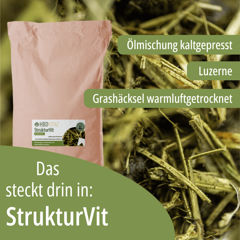 HBD Vital® SeniorHeu mit Gräsern und Kräutern von regionalen Wiesen, kaltgepresstem Lein- und Sonnenblumenöl, fein gecrackten Ölsaaten und Essig.