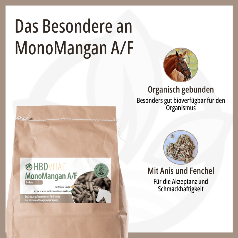Infografik zu HBD Vital® MonoMangan A/F: organisch gebundenes Mangan mit besonders guter Bioverfügbarkeit sowie Anis und Fenchel für gute Akzeptanz und Schmackhaftigkeit