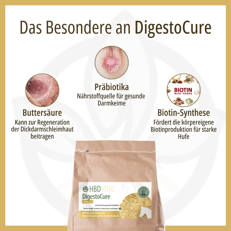 Infografik zu HBD Vital® DigestoCure: Buttersäure zur Unterstützung der Dickdarmschleimhaut, Präbiotika als Nährstoffquelle für gesunde Darmkeime und Biotin-Synthese für starke Hufe