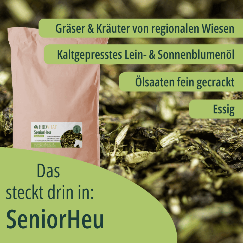 HBD Vital® SeniorHeu mit Gräsern und Kräutern von regionalen Wiesen, kaltgepresstem Lein- und Sonnenblumenöl, fein gecrackten Ölsaaten und Essig.