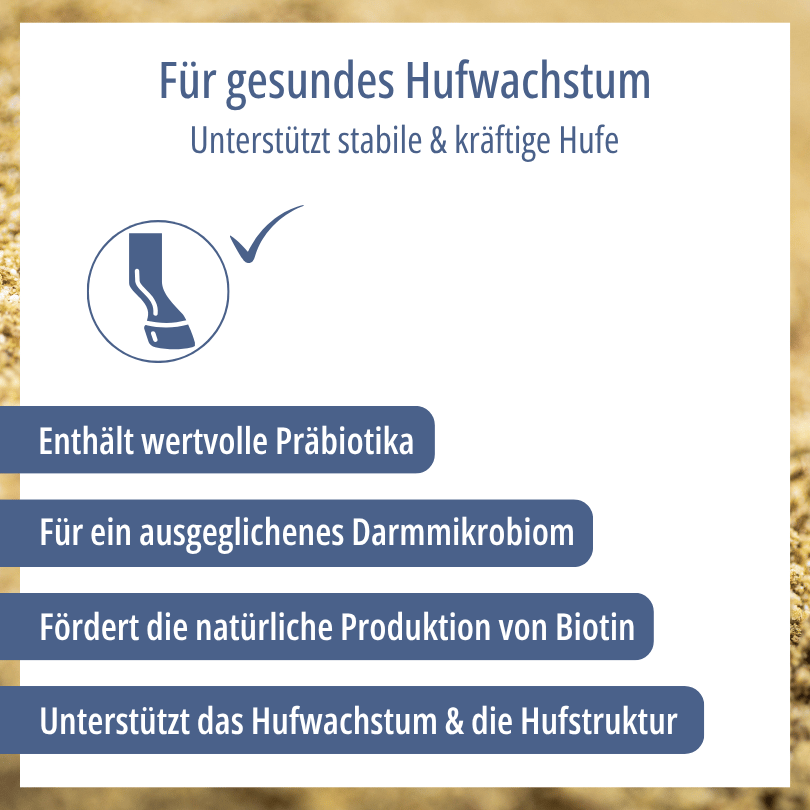 Grafik zu HBD Vital® HoofCure: enthält wertvolle Präbiotika, fördert die natürliche Produktion von Biotin und unterstützt Hufwachstum sowie Hufstruktur