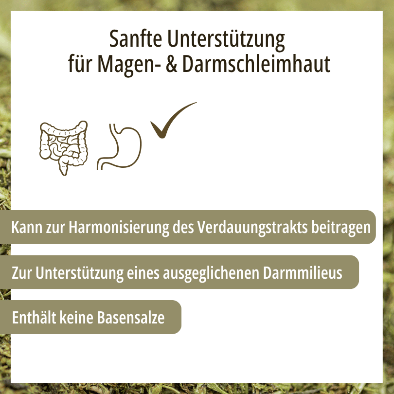 Grafik zu HBD Vital® DigestoPhlog: kann zur Harmonisierung des Verdauungstrakts beitragen, unterstützt ein ausgeglichenes Darmmilieu, enthält keine Basensalze