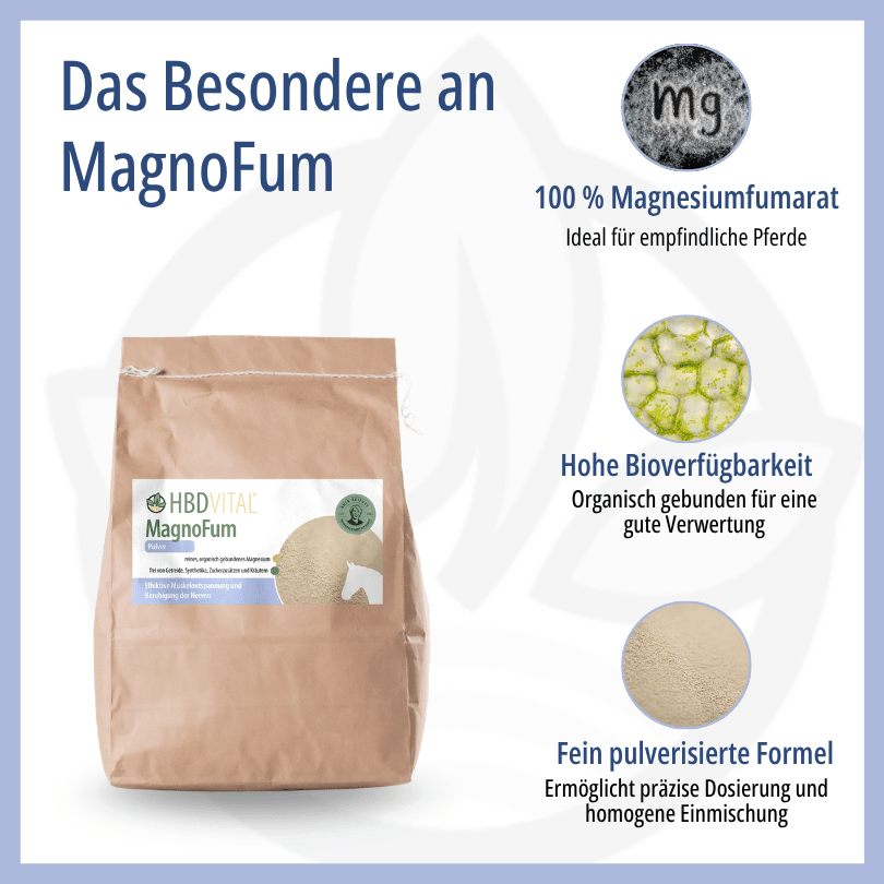 Infografik zu HBD Vital® MagnoFum: 100 % organisch gebundenes, hoch bioverfügbares Magnesiumfumarat mit über 90 % Verwertbarkeit im Stoffwechsel und fein pulverisierter Formel für präzise Dosierung