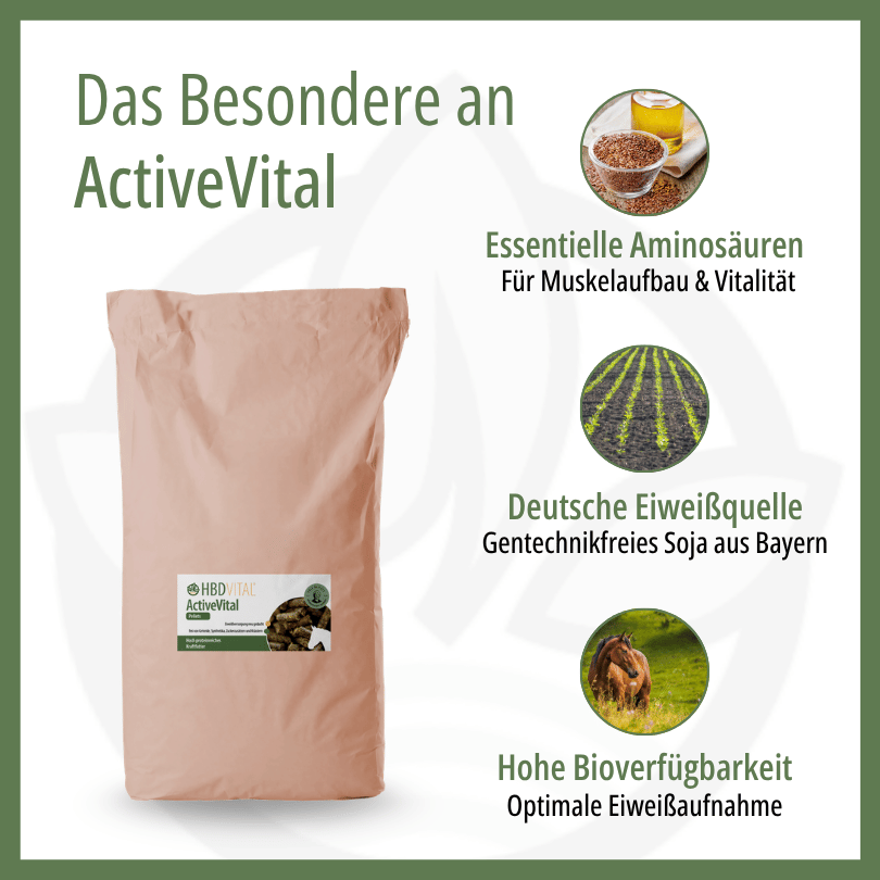 HBD Vital® ActiveVital mit essentiellen Aminosäuren für Muskelaufbau und Vitalität, aus gentechnikfreiem Soja aus deutschem Anbau, mit hoher Bioverfügbarkeit für eine optimale Eiweißaufnahme.