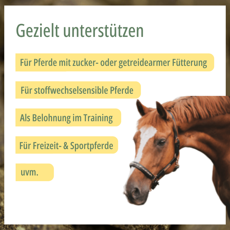 Pferd zu HBD Vital® Leinies: geeignet für zucker- oder getreidearme Fütterung, stoffwechselsensible Pferde sowie als Belohnung im Training