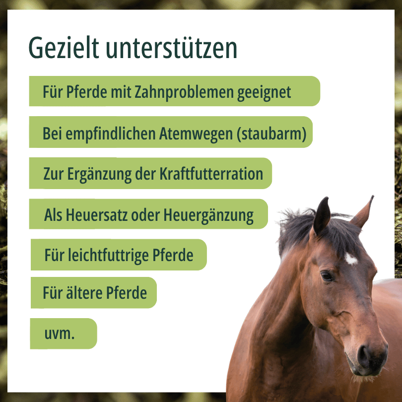 HBD Vital® SeniorHeu: geeignet für Pferde mit Zahnproblemen, bei empfindlichen Atemwegen, zur Ergänzung der Kraftfutterration, als Heuersatz oder Heuergänzung, für leichtfuttrige und für ältere Pferde.