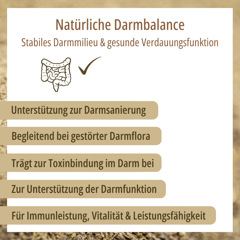 Grafik zu HBD Vital® DigestoVit® Dog: Unterstützung zur Darmsanierung, trägt zur Toxinbindung im Darm bei, für Immunleistung, Vitalität und Leistungsfähigkeit