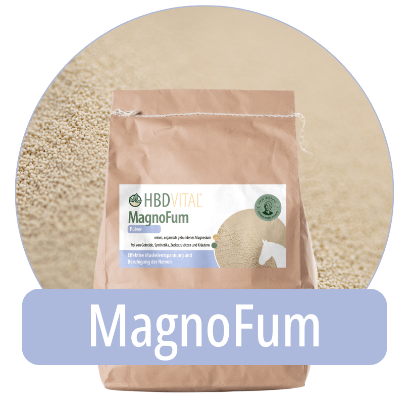 Produktverpackung HBD Vital® MagnoFum Pulver, reines organisch gebundenes Magnesium als Einzelfuttermittel für Pferde