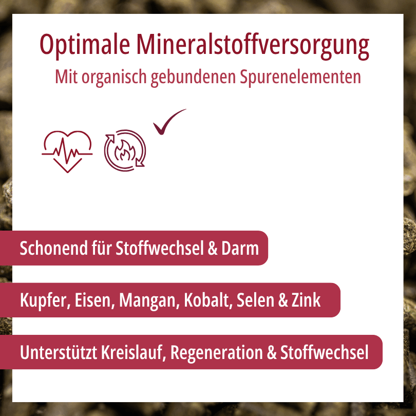 Grafik zu HBD Vital® HorseMineral: schonend für Stoffwechsel und Darm, mit Kupfer, Eisen, Mangan, Kobalt, Selen und Zink zur Unterstützung von Kreislauf, Regeneration und Stoffwechsel