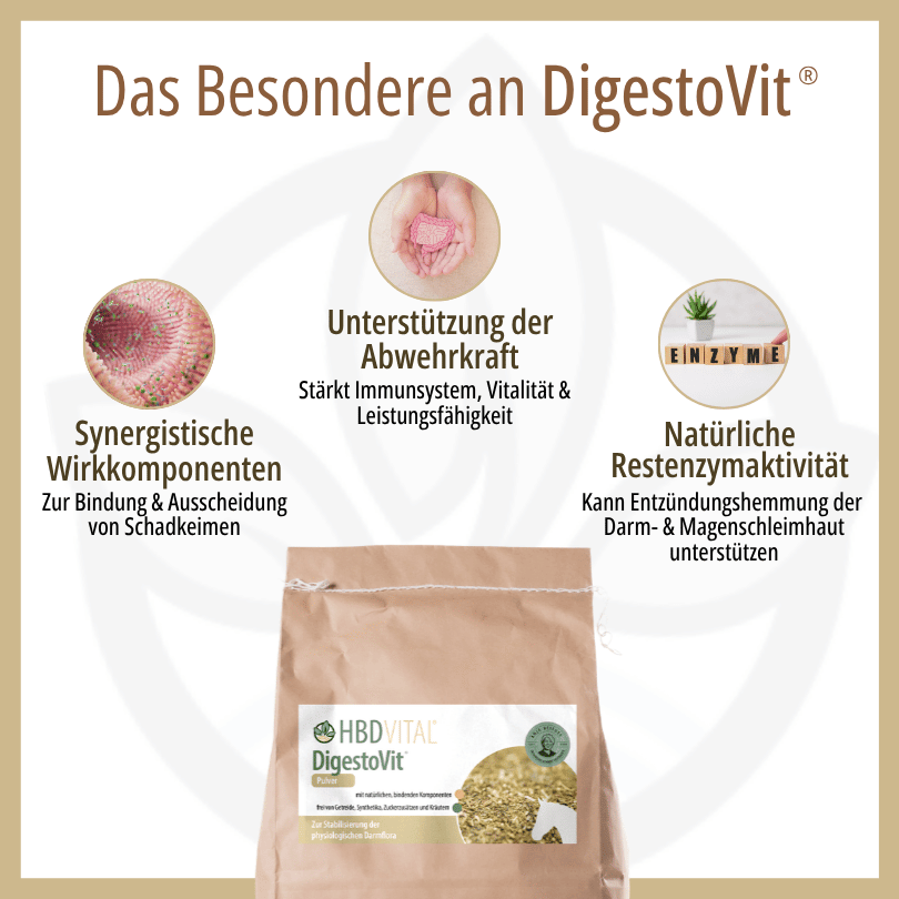 Infografik zu HBD Vital® DigestoVit®: synergistische Komponenten zur Bindung von Schadkeimen, Unterstützung der Abwehrkraft sowie natürliche Restenzymaktivität für die Darm- und Magenschleimhaut