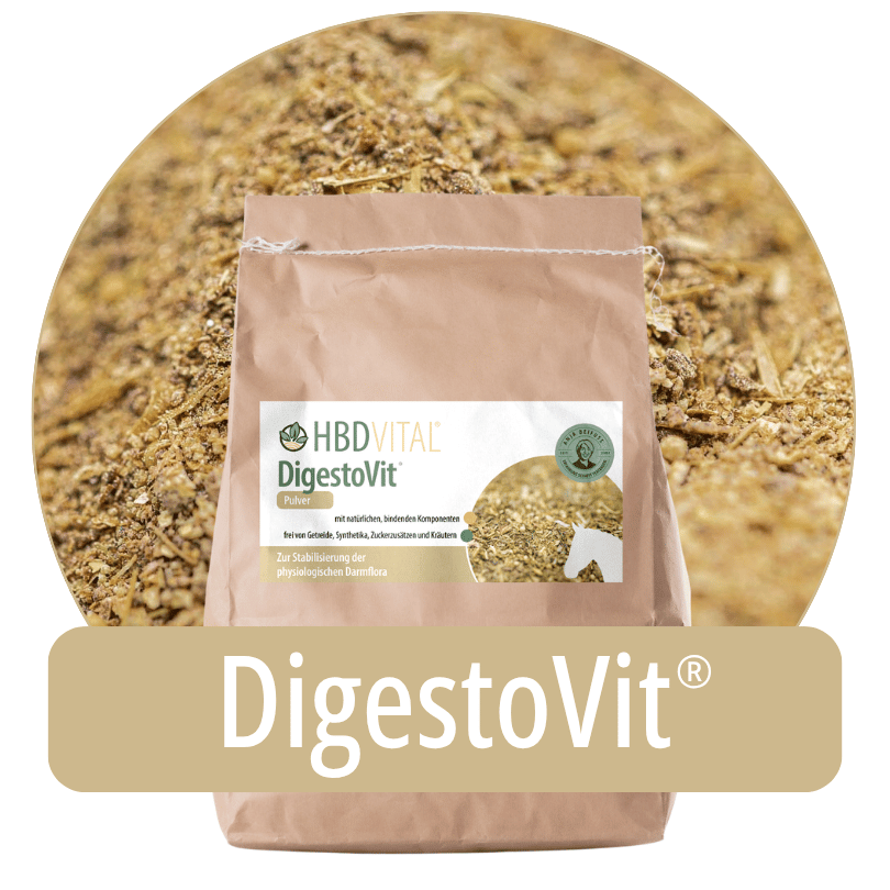 Produktverpackung HBD Vital® DigestoVit® Pulver, Ergänzungsfuttermittel für Pferde zur Stabilisierung der physiologischen Darmflora
