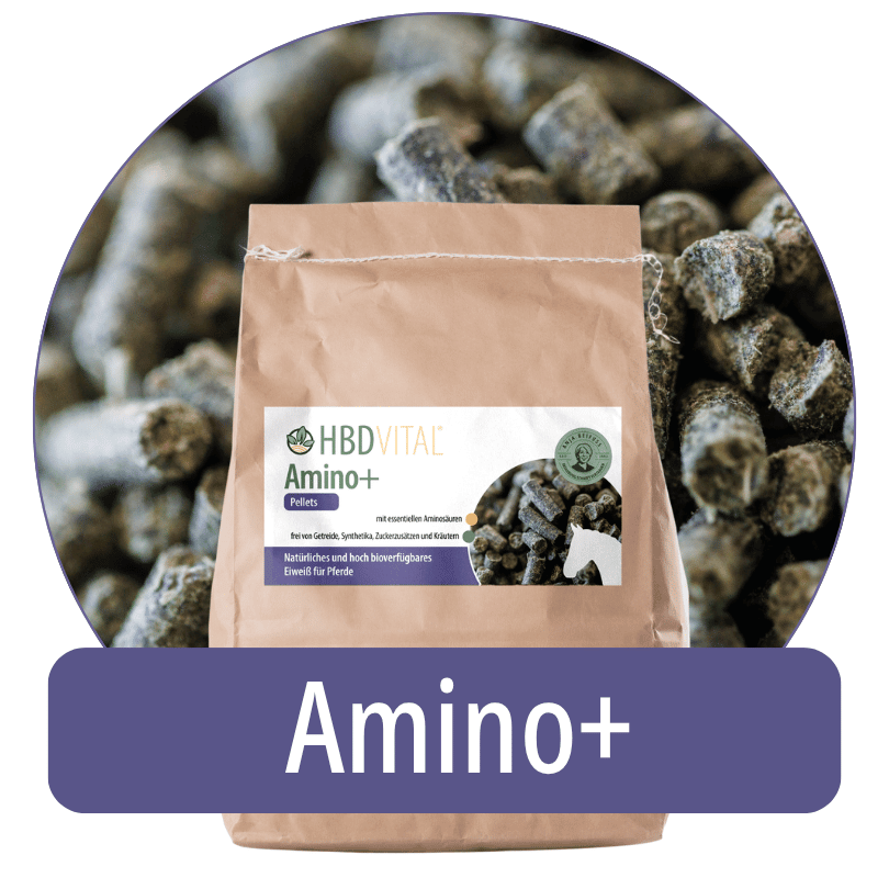 roduktverpackung HBD Vital® Amino+, Ergänzungsfuttermittel für Pferde mit essenziellen Aminosäuren