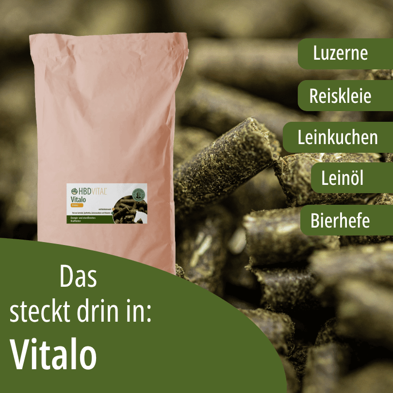 HBD Vital® Vitalo Reis mit Luzerne, Reiskleie, Leinkuchen, Leinöl und Bierhefe.
