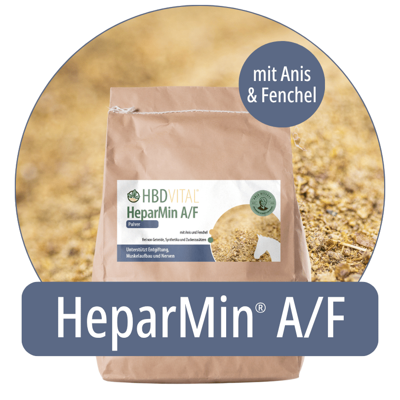 Produktverpackung HBD Vital® HeparMin® A/F Pulver mit Anis und Fenchel, Ergänzungsfuttermittel für Pferde mit Zink-/B-Vitamin-Komplex