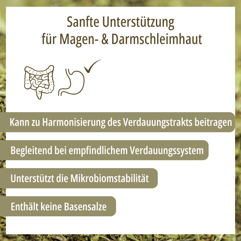 Grafik zu HBD Vital® DigestoPhlog Dog: kann zur Harmonisierung des Verdauungstrakts beitragen, unterstützt die Mikrobiomstabilität, enthält keine Basensalze