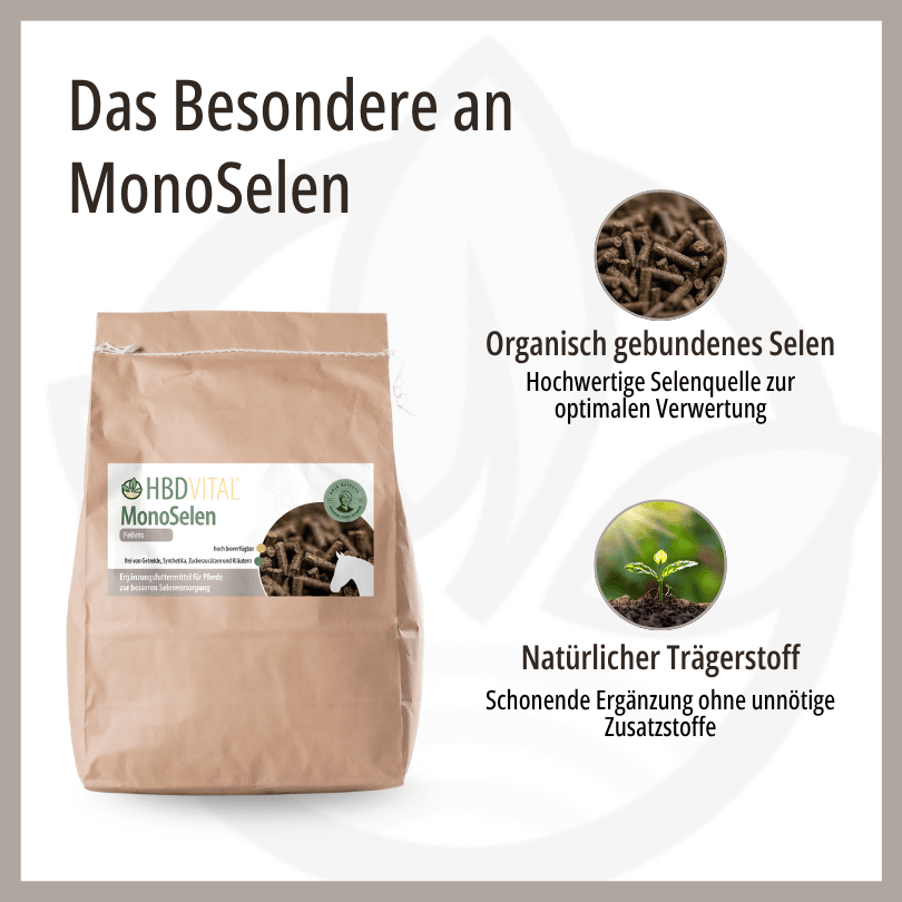 Infografik zu HBD Vital® MonoSelen: organisch gebundenes Selen als hochwertige Selenquelle zur optimalen Verwertung sowie natürlicher Trägerstoff ohne unnötige Zusatzstoffe