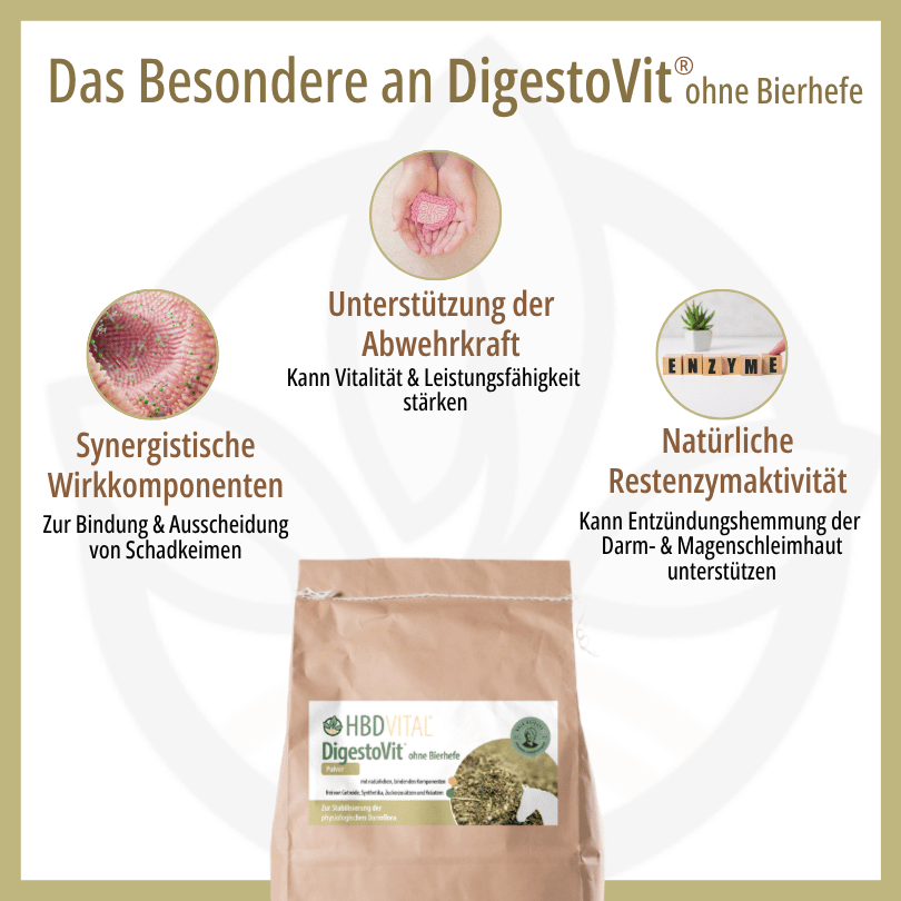 Infografik zu HBD Vital® DigestoVit® ohne Bierhefe: synergistische Komponenten zur Bindung von Schadkeimen, Unterstützung der Abwehrkraft sowie natürliche Restenzymaktivität für die Darm- und Magenschleimhaut