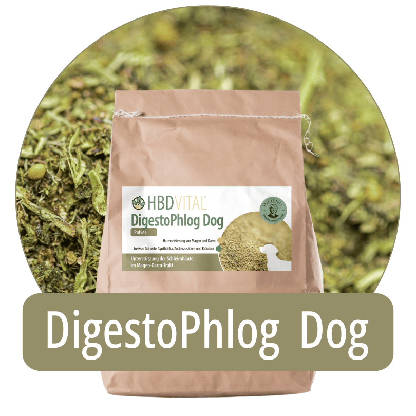 Produktverpackung HBD Vital® DigestoPhlog Dog Pulver, Ergänzungsfuttermittel für Hunde zur Unterstützung der Schleimhäute im Magen-Darm-Trakt