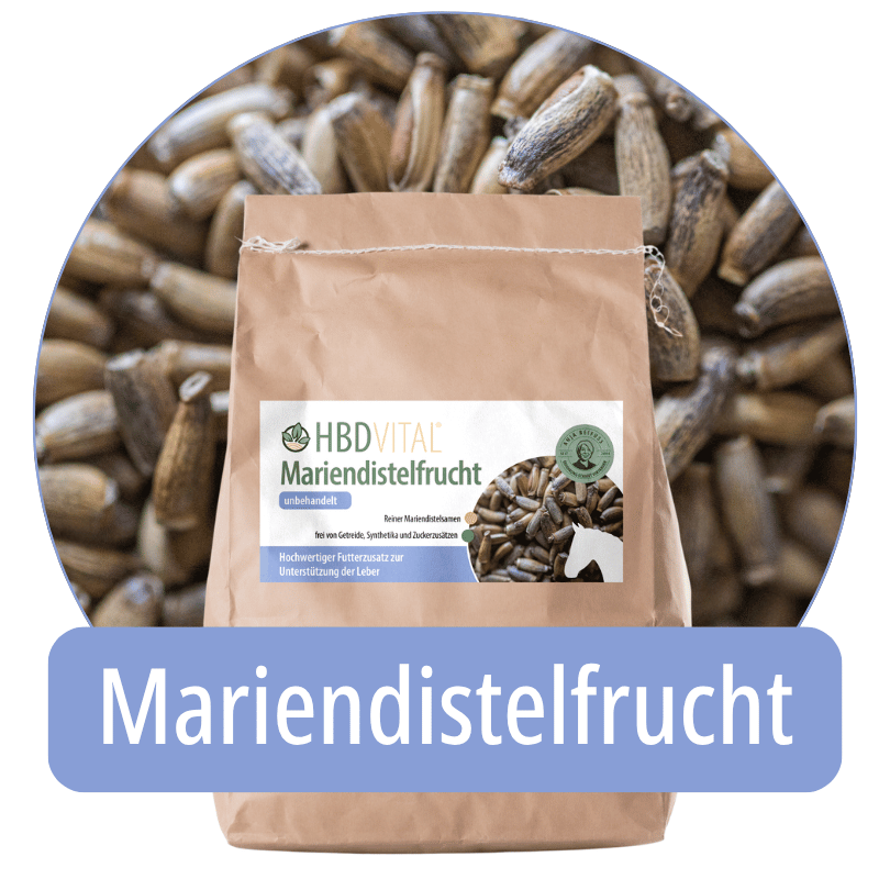 Produktverpackung HBD Vital® Mariendistelfrucht, reiner Mariendistelsamen als Einzelfuttermittel für Pferde