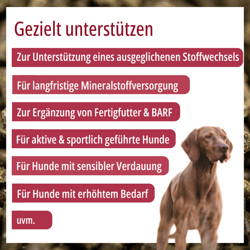 Hund zu HBD Vital® DogMineral: Einsatzbereiche u. a. für ausgeglichenen Stoffwechsel, als Ergänzung zu Fertigfutter und BARF sowie für aktive und sportlich geführte Hunde