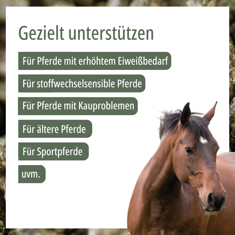 Pferd zu HBD Vital® MyoVit: Einsatzbereiche u. a. bei erhöhtem Eiweißbedarf, für stoffwechselsensible Pferde, bei Kauproblemen sowie für ältere Pferde und Sportpferde