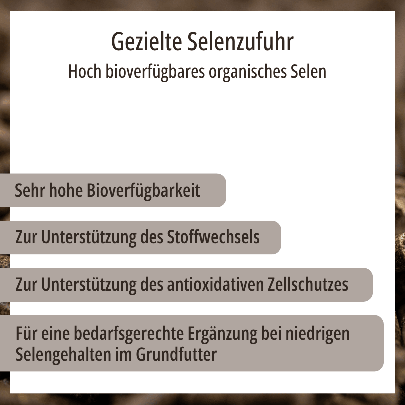 Grafik zu HBD Vital® MonoSelen: sehr hohe Bioverfügbarkeit, zur Unterstützung des Stoffwechsels und des antioxidativen Zellschutzes, für eine bedarfsgerechte Ergänzung bei niedrigen Selengehalten im Grundfutter