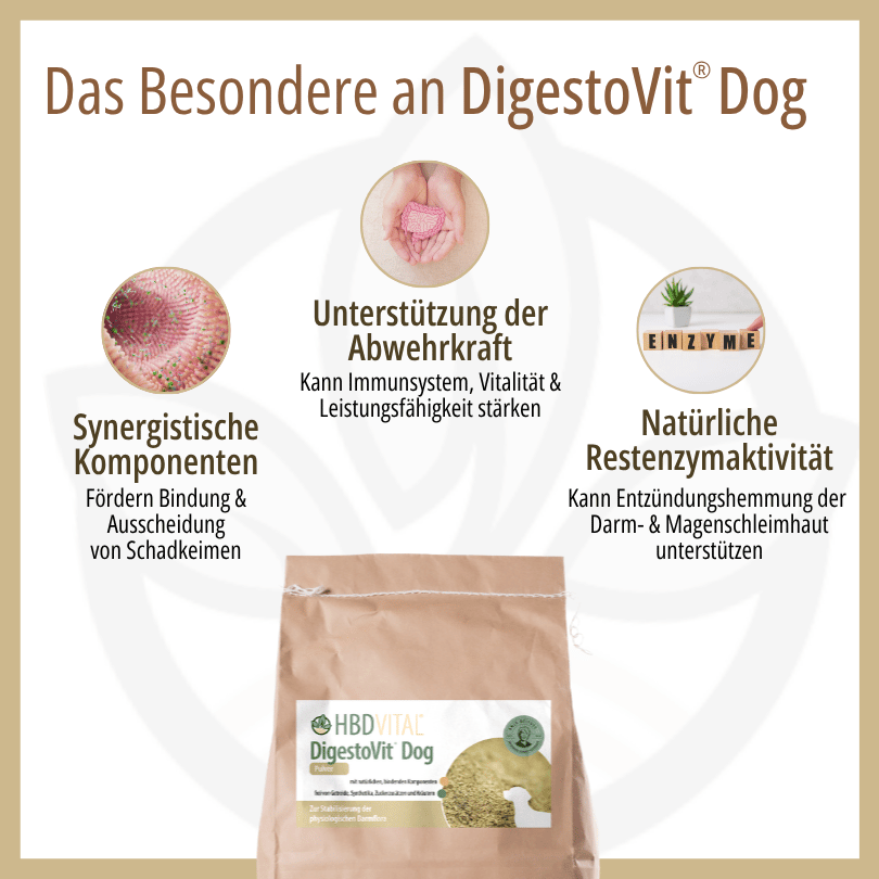 Infografik zu HBD Vital® DigestoVit® Dog: synergistische Komponenten zur Bindung von Schadkeimen, Unterstützung der Abwehrkraft sowie natürliche Restenzymaktivität für die Darm- und Magenschleimhaut