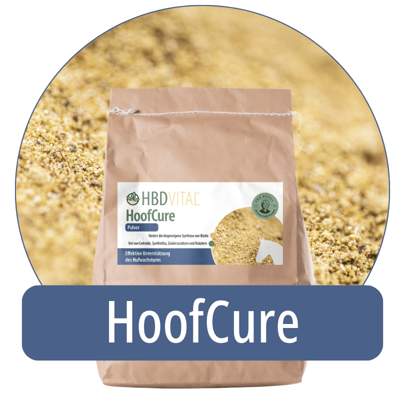 Produktverpackung HBD Vital® HoofCure Pulver, Ergänzungsfuttermittel für Pferde zur Förderung der körpereigenen Biotinsynthese