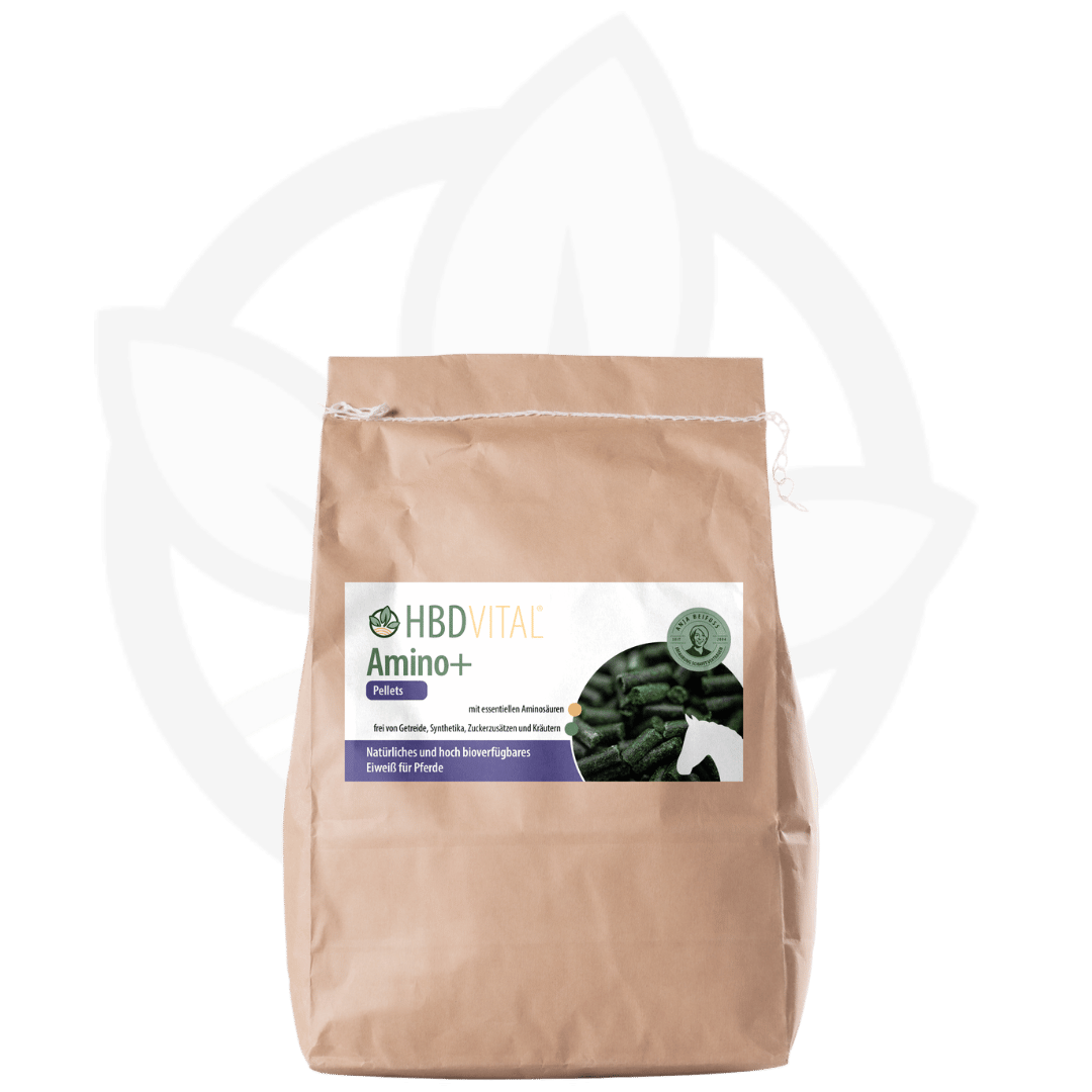 Amino+ Pellets von HBD Vital®