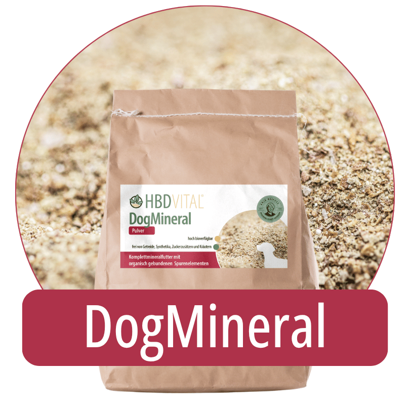 Produktverpackung HBD Vital® DogMineral Pulver, Mineralfuttermittel für Hunde mit organisch gebundenen Spurenelementen