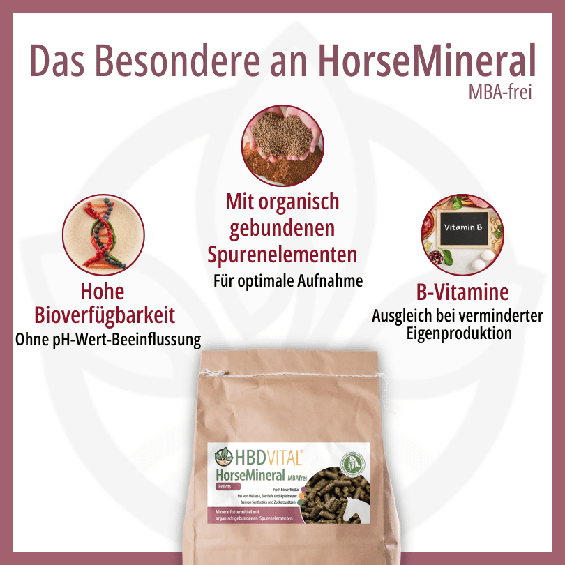 Infografik zu HBD Vital® HorseMineral MBAfrei: hohe Bioverfügbarkeit ohne pH-Wert-Beeinflussung, organisch gebundene Spurenelemente für optimale Aufnahme sowie B-Vitamine zum Ausgleich bei verminderter Eigenproduktion