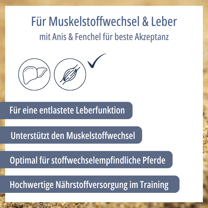 Grafik zu HBD Vital® HeparMin® A/F: gezielte Nährstoffversorgung mit Anis und Fenchel für beste Akzeptanz, zur Unterstützung von Muskelstoffwechsel, optimal für stoffwechselempfindliche Pferde