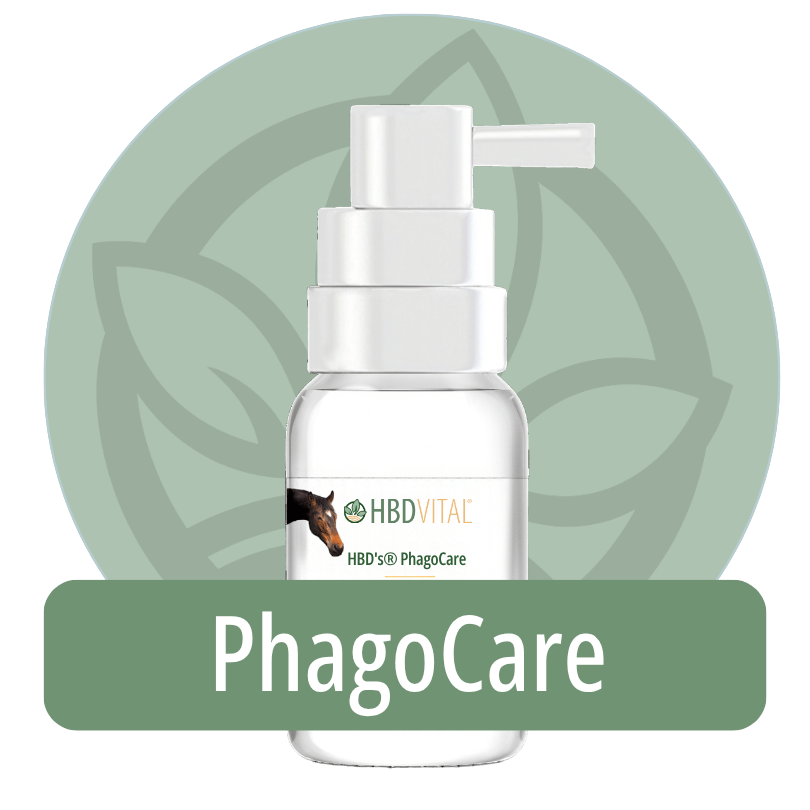 HBD Vital® PhagoCare Sprühflasche, Pflegespray mit Phagen-Technologie für Pferd, Hund und Katze