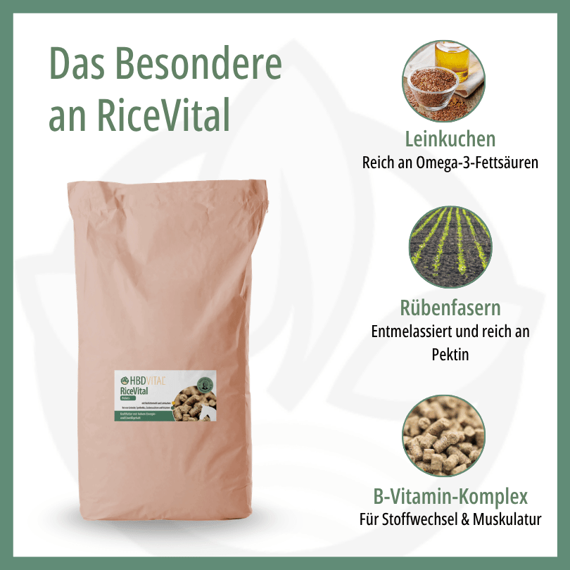 HBD Vital® RiceVital mit Leinkuchen, reich an Omega-3-Fettsäuren, entzuckerten Rübenfasern mit hohem Pektingehalt sowie einem B-Vitamin-Komplex für Leber und Muskulatur.
