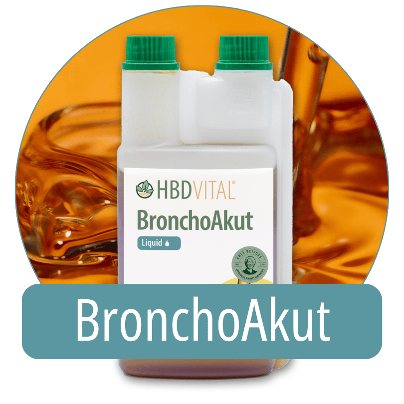 Produktverpackung HBD Vital® BronchoAkut Liquid, Ergänzungsfuttermittel für Pferde, unterstützend für die Atemwege